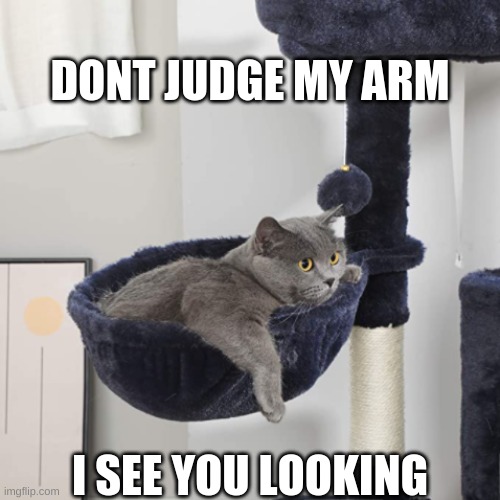 Kitty In the Basket | DONT JUDGE MY ARM; I SEE YOU LOOKING | image tagged in cat | made w/ Imgflip meme maker