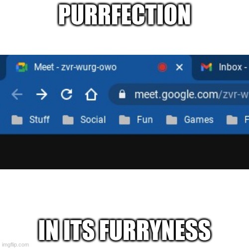 OwO meet! | PURRFECTION; IN ITS FURRYNESS | image tagged in blank transparent square,owo | made w/ Imgflip meme maker