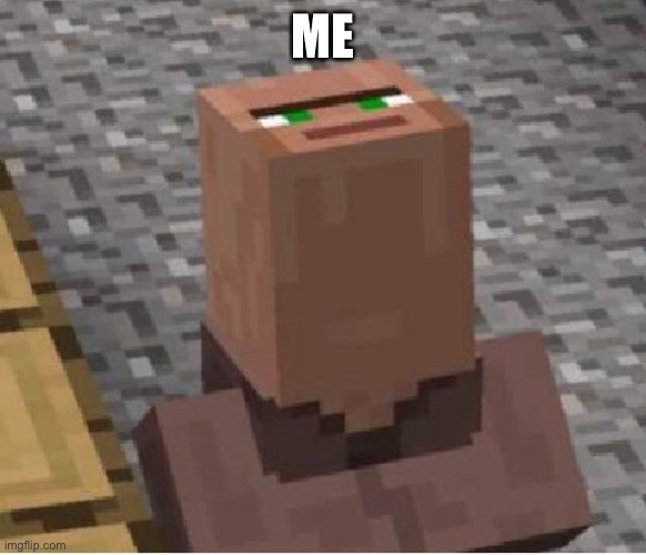Minecraft Villager Looking Up | ME | image tagged in minecraft villager looking up | made w/ Imgflip meme maker