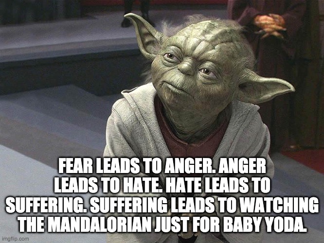 Fear leads to anger. Anger leads to hate. Hate leads to sufferin |  FEAR LEADS TO ANGER. ANGER LEADS TO HATE. HATE LEADS TO SUFFERING. SUFFERING LEADS TO WATCHING THE MANDALORIAN JUST FOR BABY YODA. | image tagged in fear leads to anger anger leads to hate hate leads to sufferin | made w/ Imgflip meme maker