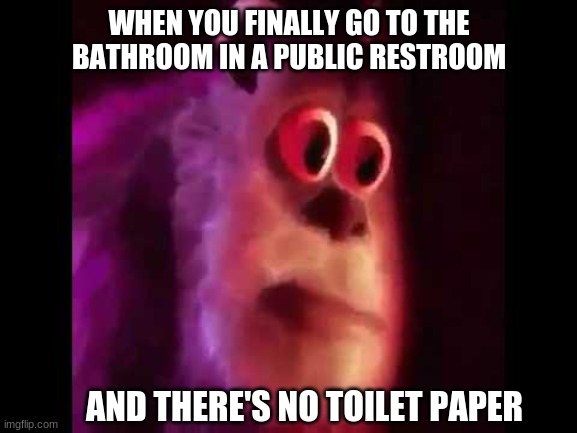 brah |  WHEN YOU FINALLY GO TO THE BATHROOM IN A PUBLIC RESTROOM; AND THERE'S NO TOILET PAPER | image tagged in sully groan,mike wazowski,lol,funny memes,memes,poop | made w/ Imgflip meme maker