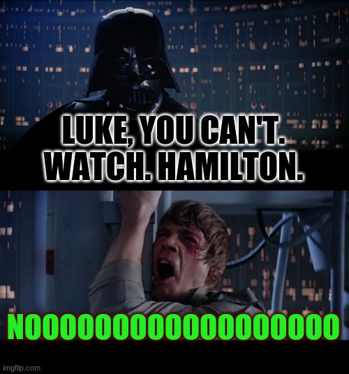 Lol | LUKE, YOU CAN'T. WATCH. HAMILTON. NOOOOOOOOOOOOOOOOOO | image tagged in memes,star wars no | made w/ Imgflip meme maker