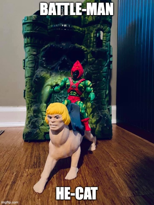 Battle man and He cat | BATTLE-MAN; HE-CAT | image tagged in upside down he-man | made w/ Imgflip meme maker