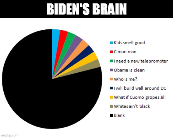 Biden's Brain | BIDEN'S BRAIN | image tagged in biden's brain | made w/ Imgflip meme maker