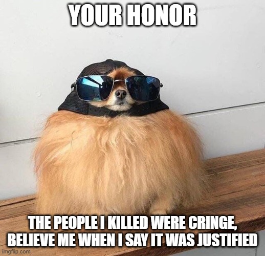 Your Honor |  YOUR HONOR; THE PEOPLE I KILLED WERE CRINGE, BELIEVE ME WHEN I SAY IT WAS JUSTIFIED | image tagged in memes,doge,funny dogs,dogs pets funny,hats,swag | made w/ Imgflip meme maker