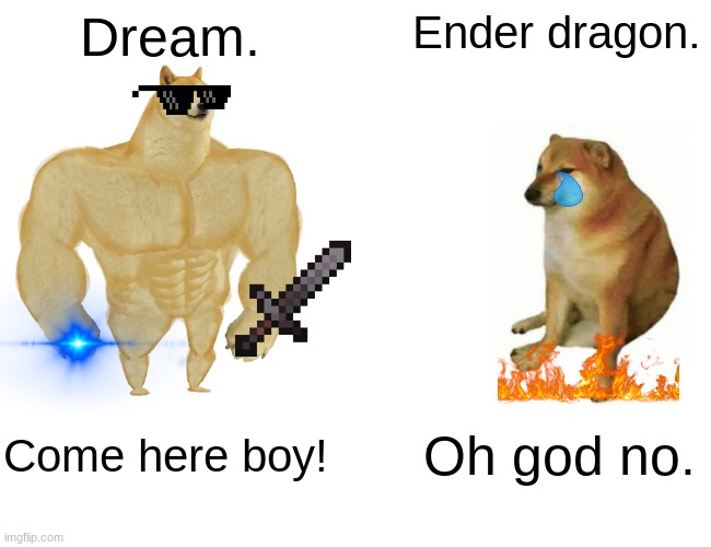 dream vs enderdragon | Dream. Ender dragon. Come here boy! Oh god no. | image tagged in memes,buff doge vs cheems | made w/ Imgflip meme maker