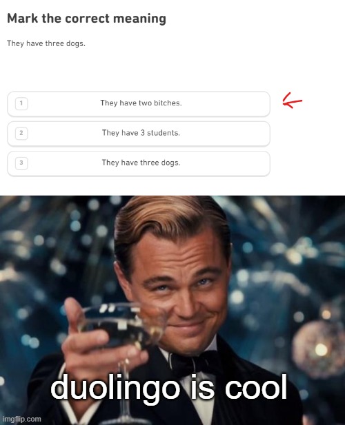 wait a minute | duolingo is cool | image tagged in memes,leonardo dicaprio cheers | made w/ Imgflip meme maker