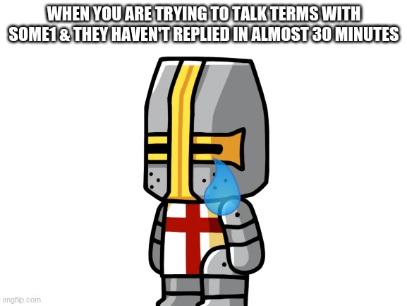 Blank White Template | WHEN YOU ARE TRYING TO TALK TERMS WITH SOME1 & THEY HAVEN'T REPLIED IN ALMOST 30 MINUTES | image tagged in blank white template | made w/ Imgflip meme maker