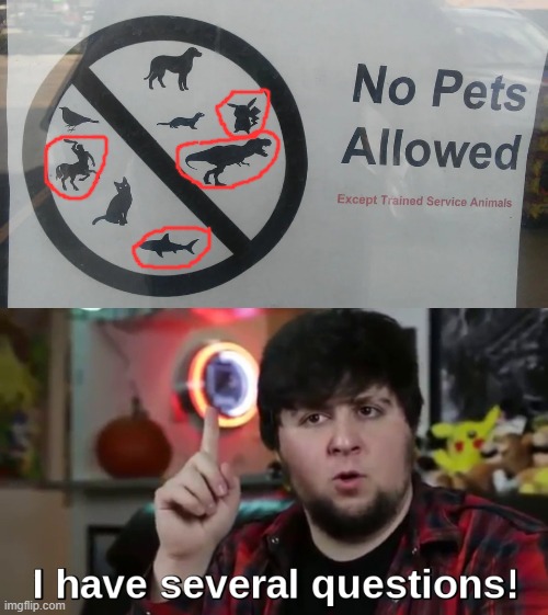 Those aren't pets lol | image tagged in i have several questions hd,memes,funny | made w/ Imgflip meme maker