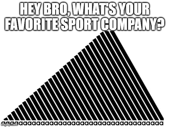 AA AAA AAAA AAAAAAAAAAAAAAAAAAAAAAAAAAAAAAAAAAAAAAAAAAAAAAAAAAAA | HEY BRO, WHAT'S YOUR FAVORITE SPORT COMPANY? | image tagged in aaa | made w/ Imgflip meme maker