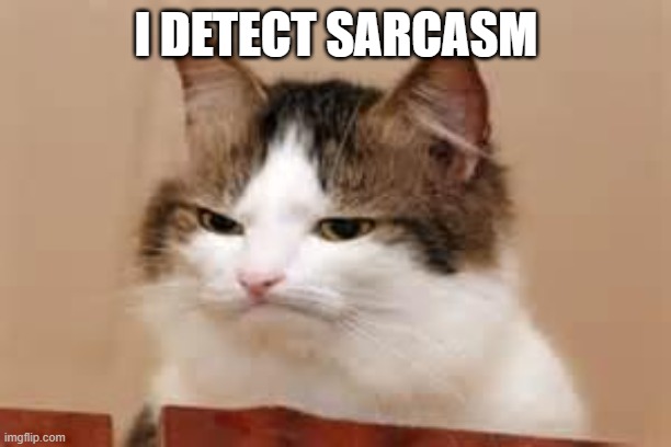 Disappointed Cat | I DETECT SARCASM | image tagged in disappointed cat | made w/ Imgflip meme maker