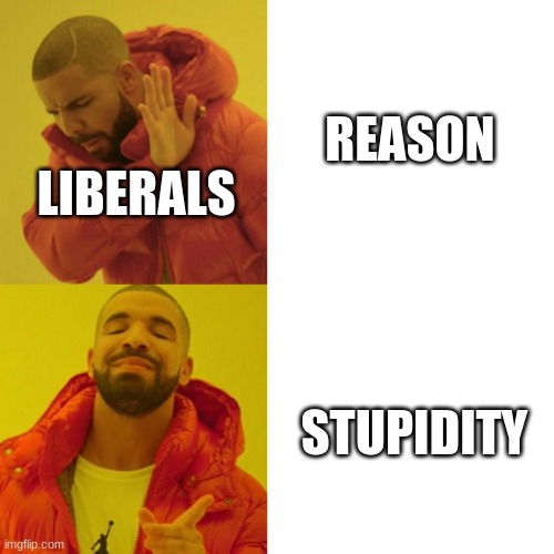 Drake Blank | REASON STUPIDITY LIBERALS | image tagged in drake blank | made w/ Imgflip meme maker