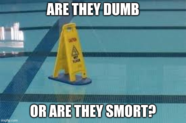 HmMmMmMmMmMmMmMmMmMmMmMmM | ARE THEY DUMB; OR ARE THEY SMORT? | image tagged in smort,oh wow are you actually reading these tags | made w/ Imgflip meme maker