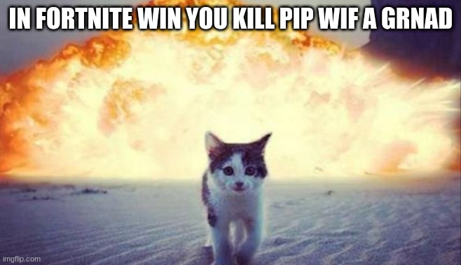 billy the cat | IN FORTNITE WIN YOU KILL PIP WIF A GRNAD | image tagged in billy | made w/ Imgflip meme maker