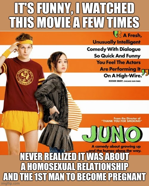 Huh? | IT'S FUNNY, I WATCHED THIS MOVIE A FEW TIMES; NEVER REALIZED IT WAS ABOUT A HOMOSEXUAL RELATIONSHIP AND THE 1ST MAN TO BECOME PREGNANT | image tagged in juno poster,memes,confused confusing confusion | made w/ Imgflip meme maker