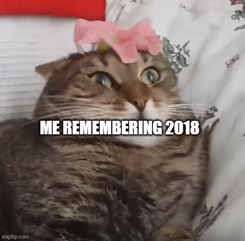 WHY ARE WE STILL HERE JUST TO SUFFER EVERY NIGHT cat 2 | ME REMEMBERING 2018 | image tagged in why are we still here just to suffer every night cat 2 | made w/ Imgflip meme maker