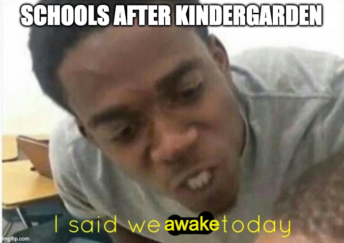 i said we ____ today | SCHOOLS AFTER KINDERGARDEN; awake | image tagged in i said we ____ today | made w/ Imgflip meme maker