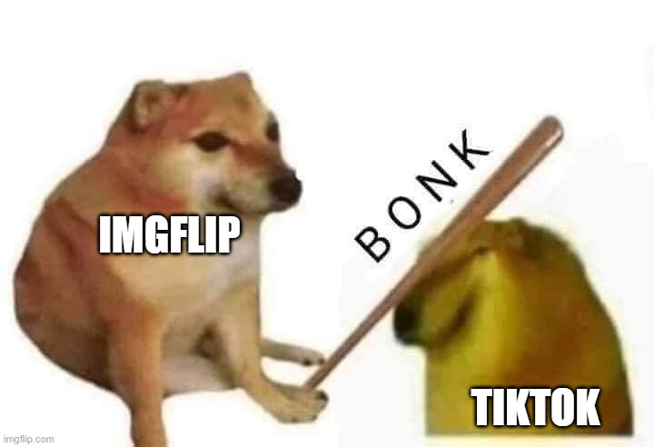 BoNk | IMGFLIP; TIKTOK | image tagged in doge bonk,bonk,oof,memes | made w/ Imgflip meme maker