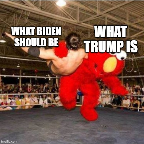 Elmo wrestling | WHAT TRUMP IS; WHAT BIDEN SHOULD BE | image tagged in elmo wrestling | made w/ Imgflip meme maker