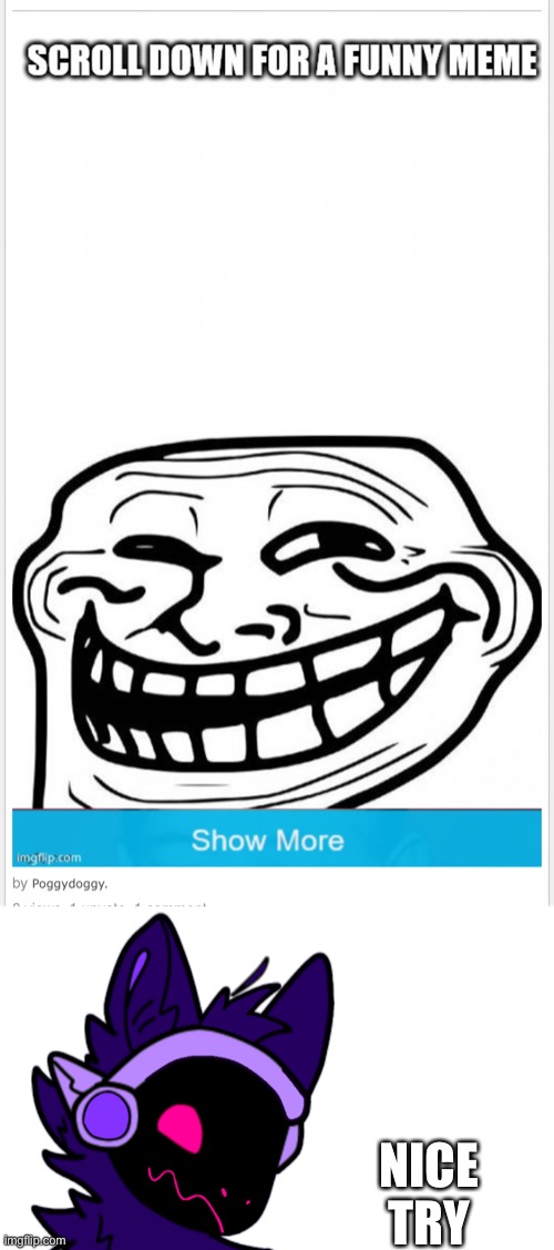 To everyone who fell for that, you’re stupid | NICE TRY | made w/ Imgflip meme maker