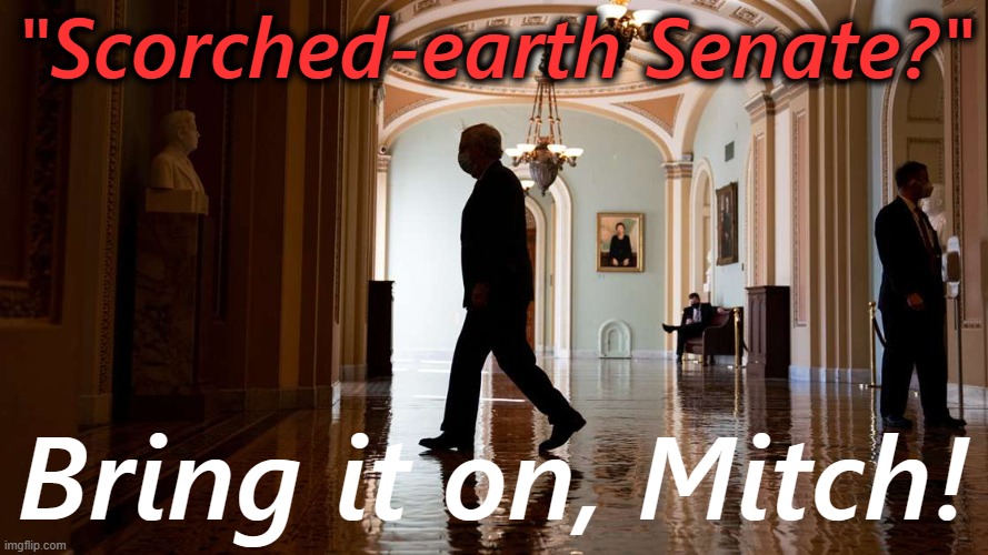 Democrats should not be deterred by Mitch McConnell's threat to throw a temper tantrum if the filibuster is abolished. | "Scorched-earth Senate?"; Bring it on, Mitch! | image tagged in mitch mcconnell scorched earth senate,senate,senators,mitch mcconnell,gop,republicans | made w/ Imgflip meme maker