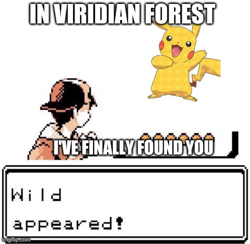 Blank Wild Pokemon Appears | IN VIRIDIAN FOREST; I'VE FINALLY FOUND YOU | image tagged in blank wild pokemon appears | made w/ Imgflip meme maker