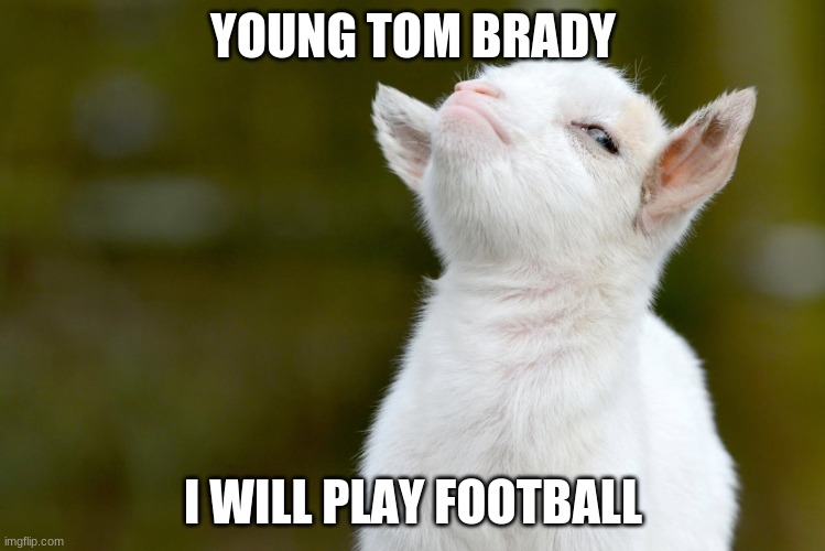 YOUNG TOM BRADY; I WILL PLAY FOOTBALL | image tagged in proud baby goat | made w/ Imgflip meme maker
