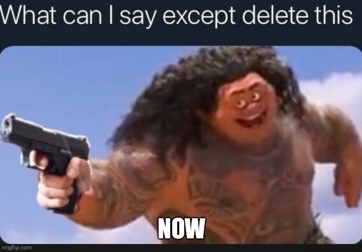 What can I say except delete this | NOW | image tagged in what can i say except delete this | made w/ Imgflip meme maker