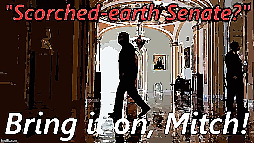You are not the Senate, Mitch. Throw all the temper tantrums you want. | image tagged in senate,i am the senate,government,mitch mcconnell,republicans,republican | made w/ Imgflip meme maker