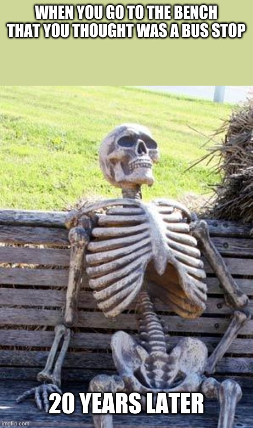 Waiting Skeleton Meme | WHEN YOU GO TO THE BENCH THAT YOU THOUGHT WAS A BUS STOP; 20 YEARS LATER | image tagged in memes,waiting skeleton | made w/ Imgflip meme maker