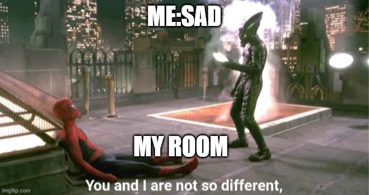 You and i are not so diffrent | ME:SAD; MY ROOM | image tagged in you and i are not so diffrent | made w/ Imgflip meme maker