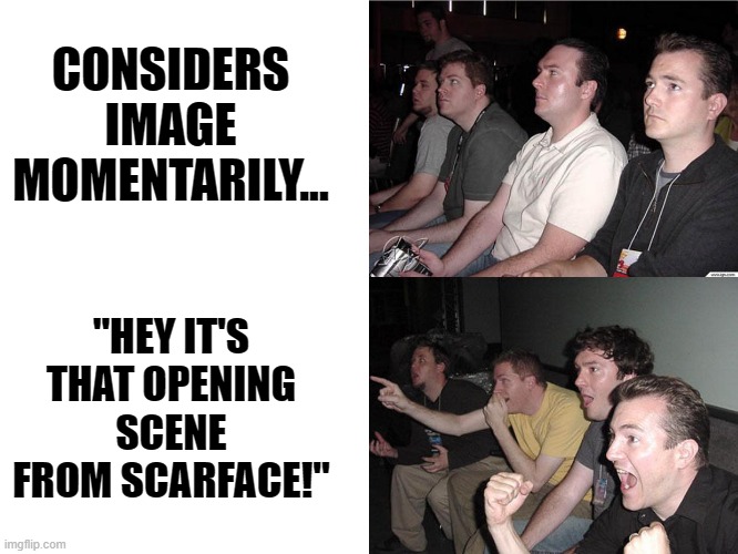 Reaction Guys | CONSIDERS IMAGE MOMENTARILY... "HEY IT'S THAT OPENING SCENE FROM SCARFACE!" | image tagged in reaction guys | made w/ Imgflip meme maker