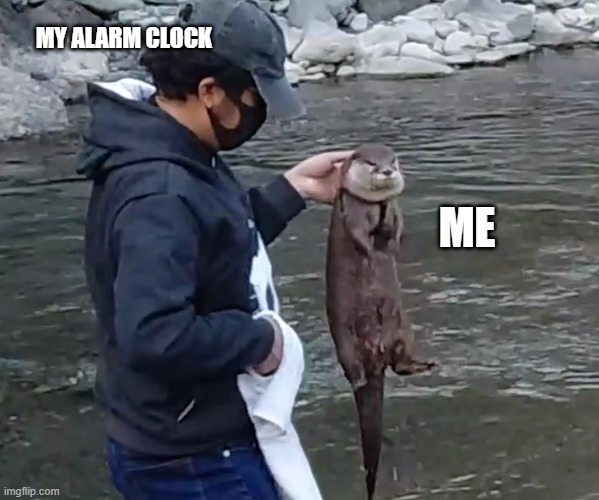 Otter capture | MY ALARM CLOCK; ME | image tagged in otter,stop | made w/ Imgflip meme maker