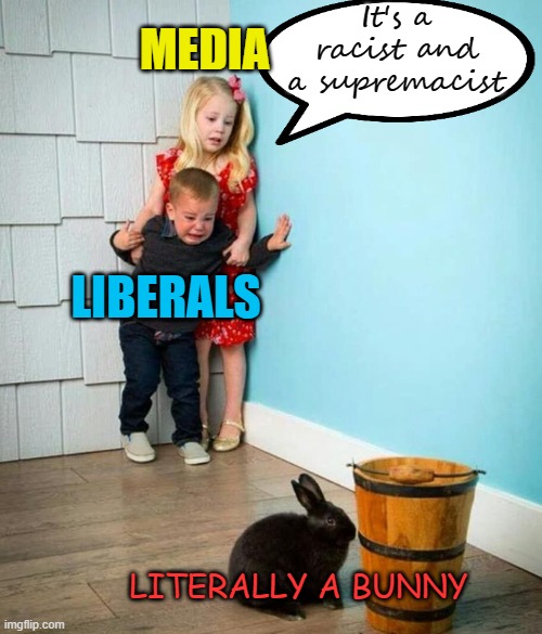 Seems like an accurate portrayal of Social Media and the MSM news... | It's a racist and a supremacist; MEDIA; LIBERALS; LITERALLY A BUNNY | image tagged in children scared of rabbit,political meme,memes,msm lies,social media,fear | made w/ Imgflip meme maker