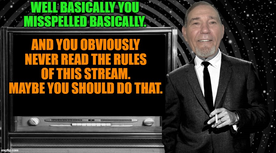 WELL BASICALLY YOU MISSPELLED BASICALLY. AND YOU OBVIOUSLY NEVER READ THE RULES OF THIS STREAM. MAYBE YOU SHOULD DO THAT. | image tagged in the kewlew zone | made w/ Imgflip meme maker