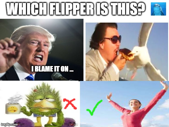 Get your thinking ceps on.. | WHICH FLIPPER IS THIS? I BLAME IT ON ... | image tagged in blank white template,puzzle for the day | made w/ Imgflip meme maker