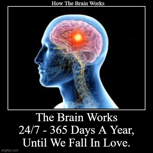 How The Brain Works Until We Fall In Love. | image tagged in funny,demotivationals,until we fall in love,how the brain works | made w/ Imgflip demotivational maker