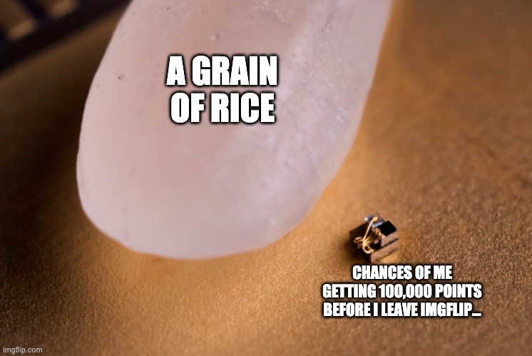 Big announcement | A GRAIN OF RICE; CHANCES OF ME GETTING 100,000 POINTS BEFORE I LEAVE IMGFLIP... | image tagged in grain of rice,announcement,imgflip,leaving imgflip,memes,important | made w/ Imgflip meme maker