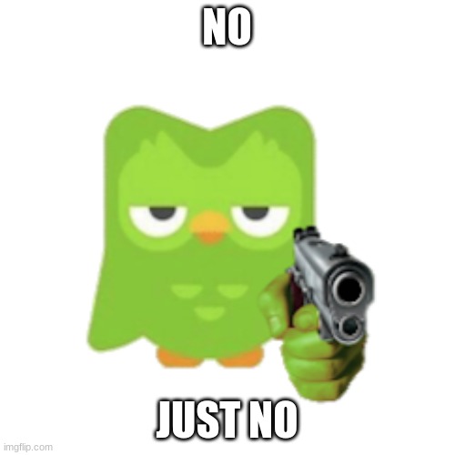 Duolingo | NO JUST NO | image tagged in duolingo | made w/ Imgflip meme maker