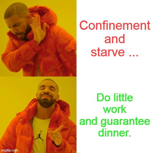 memeuleo | Confinement and starve ... Do little work and guarantee dinner. | image tagged in memes,drake hotline bling | made w/ Imgflip meme maker