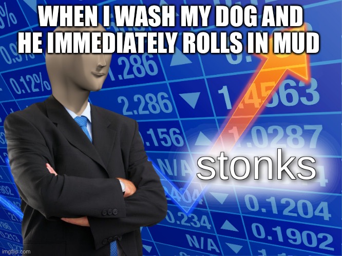 Stonks dog | WHEN I WASH MY DOG AND HE IMMEDIATELY ROLLS IN MUD | image tagged in stonks,dog,stinks,doge,doggo,dog memes | made w/ Imgflip meme maker
