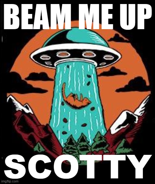 UFO cat | BEAM ME UP; SCOTTY | image tagged in ufo cat,ufos,ufo,t-shirt,cats,cat | made w/ Imgflip meme maker