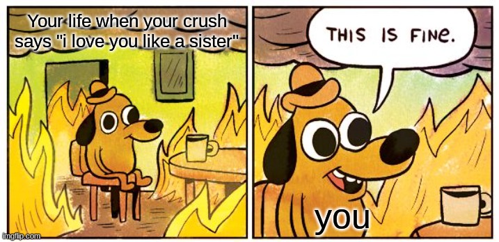 :0 | Your life when your crush says "i love you like a sister"; you | image tagged in memes,this is fine | made w/ Imgflip meme maker