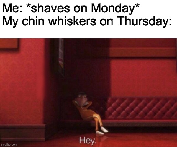 Hey. | Me: *shaves on Monday*
My chin whiskers on Thursday: | image tagged in hey | made w/ Imgflip meme maker