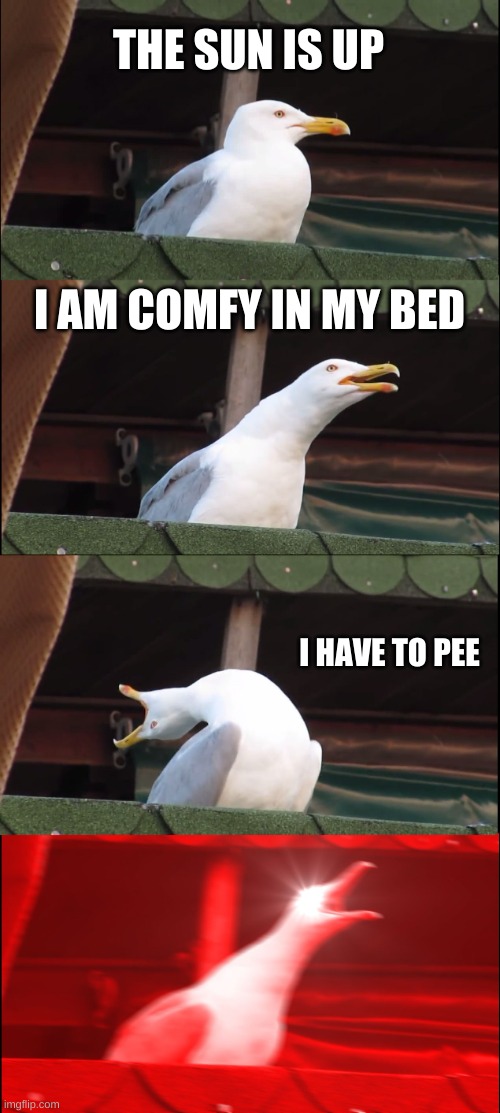 True do | THE SUN IS UP; I AM COMFY IN MY BED; I HAVE TO PEE | image tagged in memes,inhaling seagull,funny memes,gifs | made w/ Imgflip meme maker