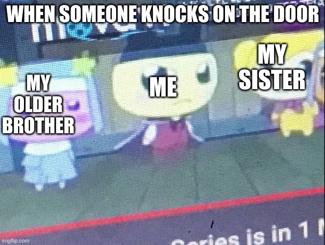 when someone knocks on the door | WHEN SOMEONE KNOCKS ON THE DOOR; MY SISTER; MY OLDER BROTHER; ME | image tagged in deathly stare | made w/ Imgflip meme maker
