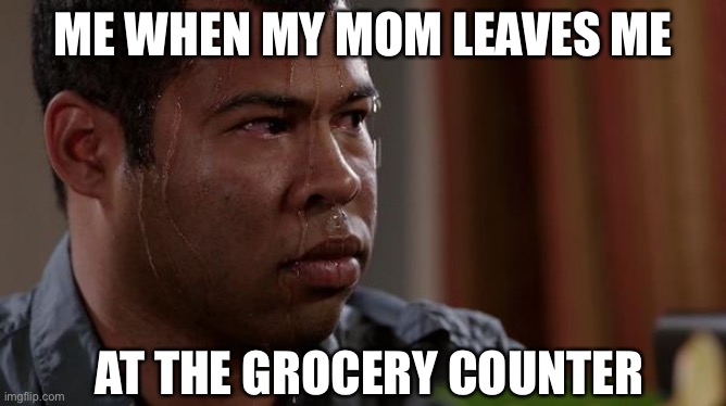 Another experience everyone knows | ME WHEN MY MOM LEAVES ME; AT THE GROCERY COUNTER | image tagged in sweating bullets | made w/ Imgflip meme maker
