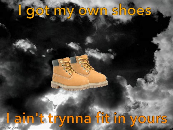 I got my own shoes | I got my own shoes; I ain't trynna fit in yours | image tagged in nf | made w/ Imgflip meme maker