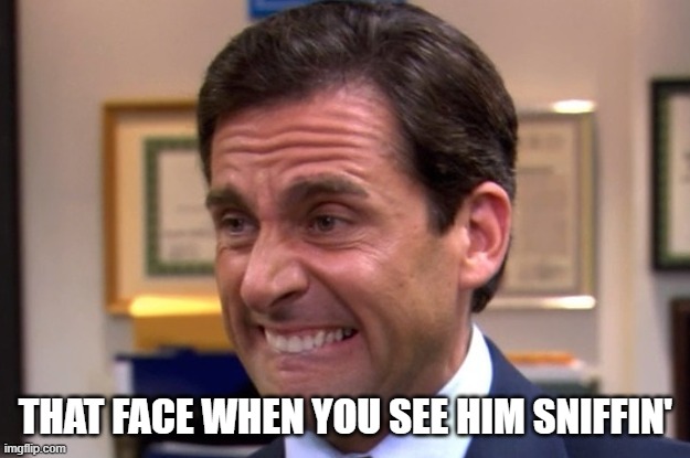 Cringe | THAT FACE WHEN YOU SEE HIM SNIFFIN' | image tagged in cringe | made w/ Imgflip meme maker