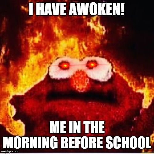 Elmo | I HAVE AWOKEN! ME IN THE MORNING BEFORE SCHOOL | image tagged in elmo | made w/ Imgflip meme maker